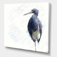 thumbnail image 3 of Designart Tricolored Heron Bird Canvas Wall Art, 3 of 4