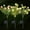 A1014 Usloyux under 5$, variant on Usloyux Under $5 Solar Gardenia Outdoor Lights, LED Fake Flower Garden Decoration, Waterproof Landscape Lighting, Wedding Party Garden Decor, Automatic Solar Stake Lights