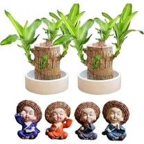 Sunshinehomely 4 Pcs Brazilian Wood Green Plant Monk Statues Small Monk Figurine Cute Car Dashboard Ornaments Resin Little Monk Figurine for Home Office Desktop Ornaments