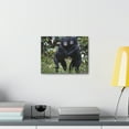 thumbnail image 4 of Bonobo Couple Bonobo Troop Print Animal Wall Art Wildlife Canvas Prints Wall Art Ready to Hang Unframed, 4 of 18