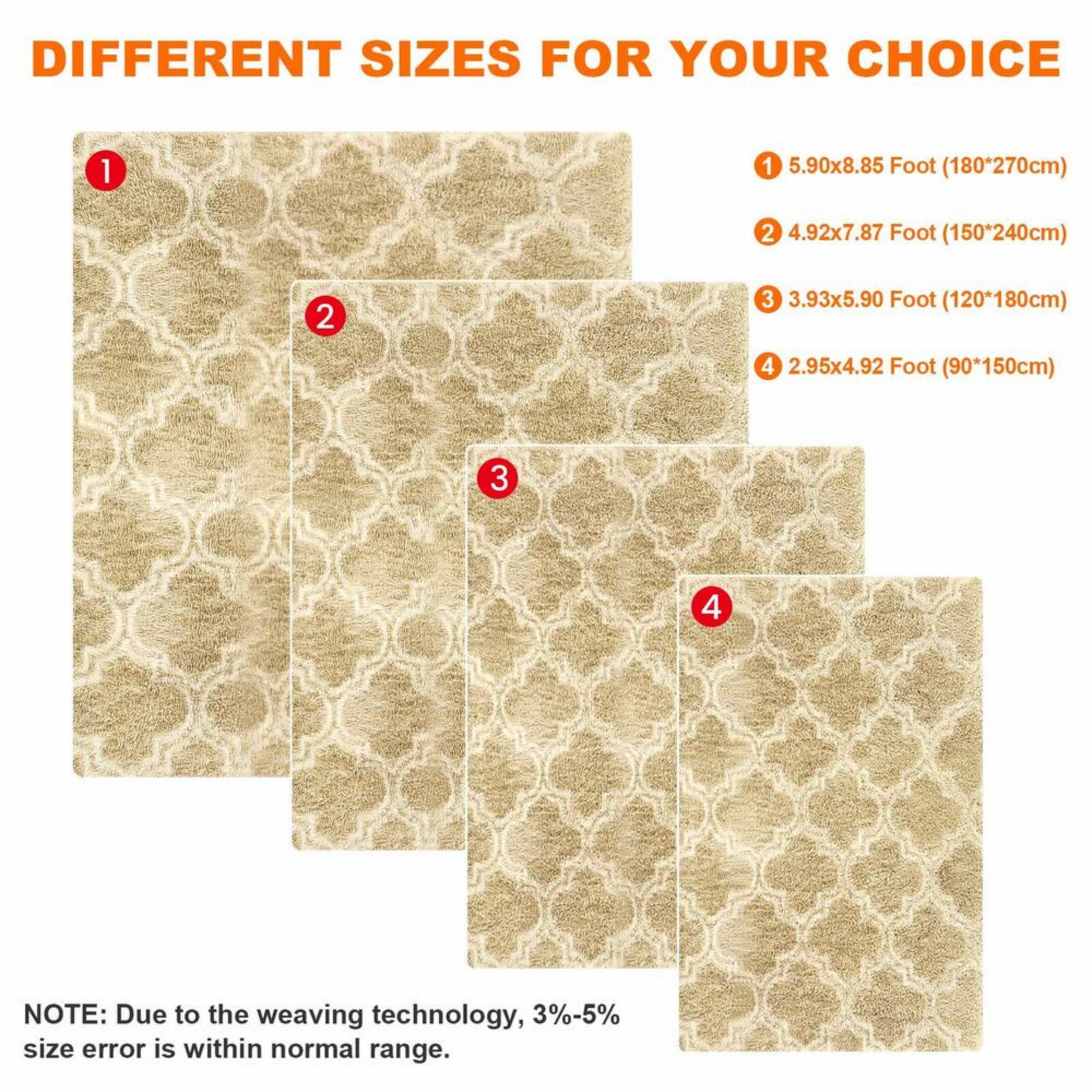 QIYAA Luxury Fluffy Big Area Rug Modern Shag Rugs for Carpet Modern