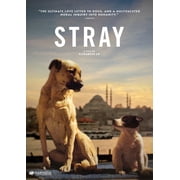 Magnolia Home Ent - Stray [DIGITAL VIDEO DISC]