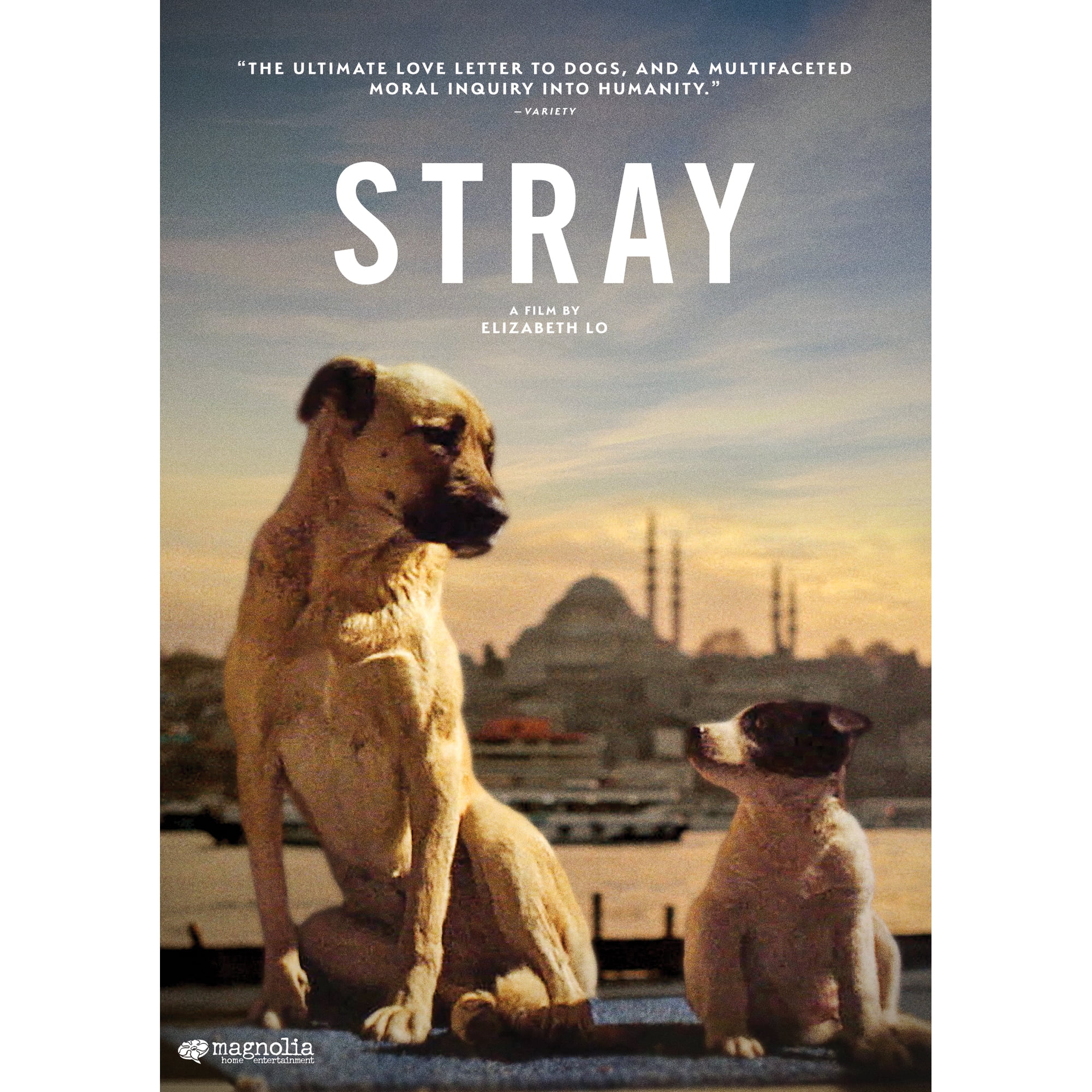 Magnolia Home Ent - Stray [DIGITAL VIDEO DISC]