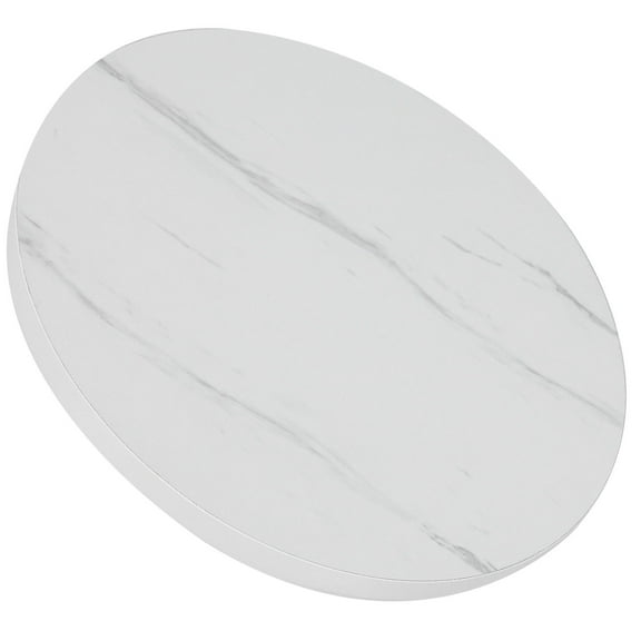 PTOOTP 1Set Table Lazy Susan Turntable 11.8Inch Diameter for Home Decorative Purpose