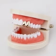 thumbnail image 3 of Charming Halloween Bright Hip Hop Pieces Rose, 3 of 4