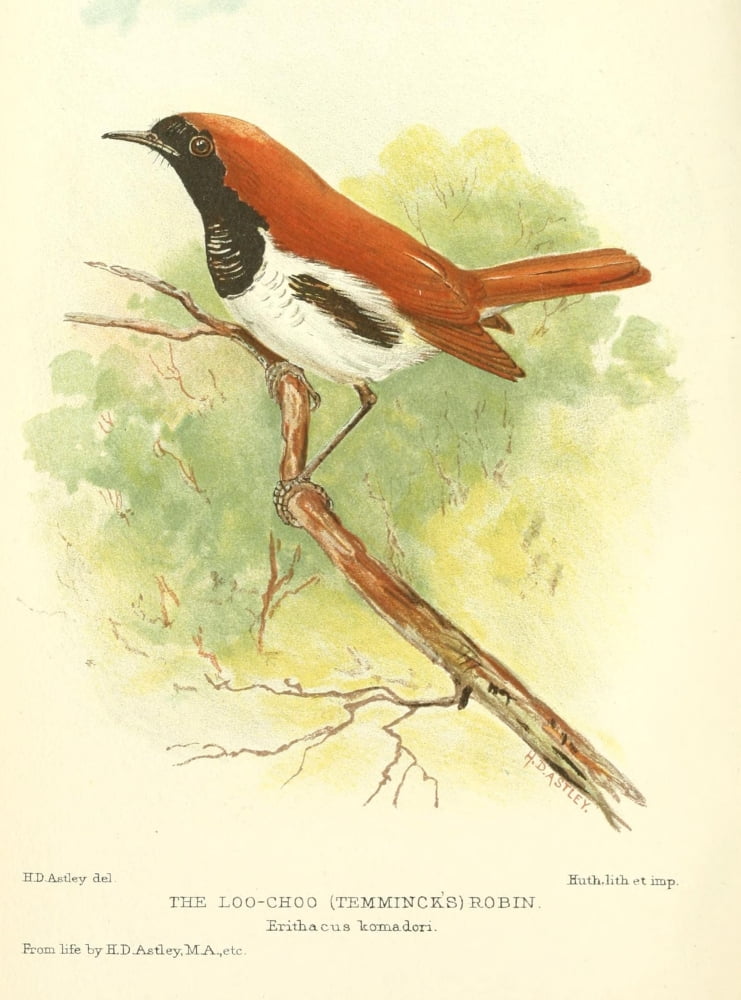 Bird Notes 1902 Tem