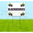 thumbnail image 1 of Blackberries (18" x 24") Yard Sign, Includes Metal Step Stake, 1 of 6