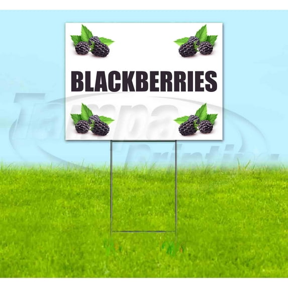 Blackberries (18" x 24") Yard Sign, Includes Metal Step Stake