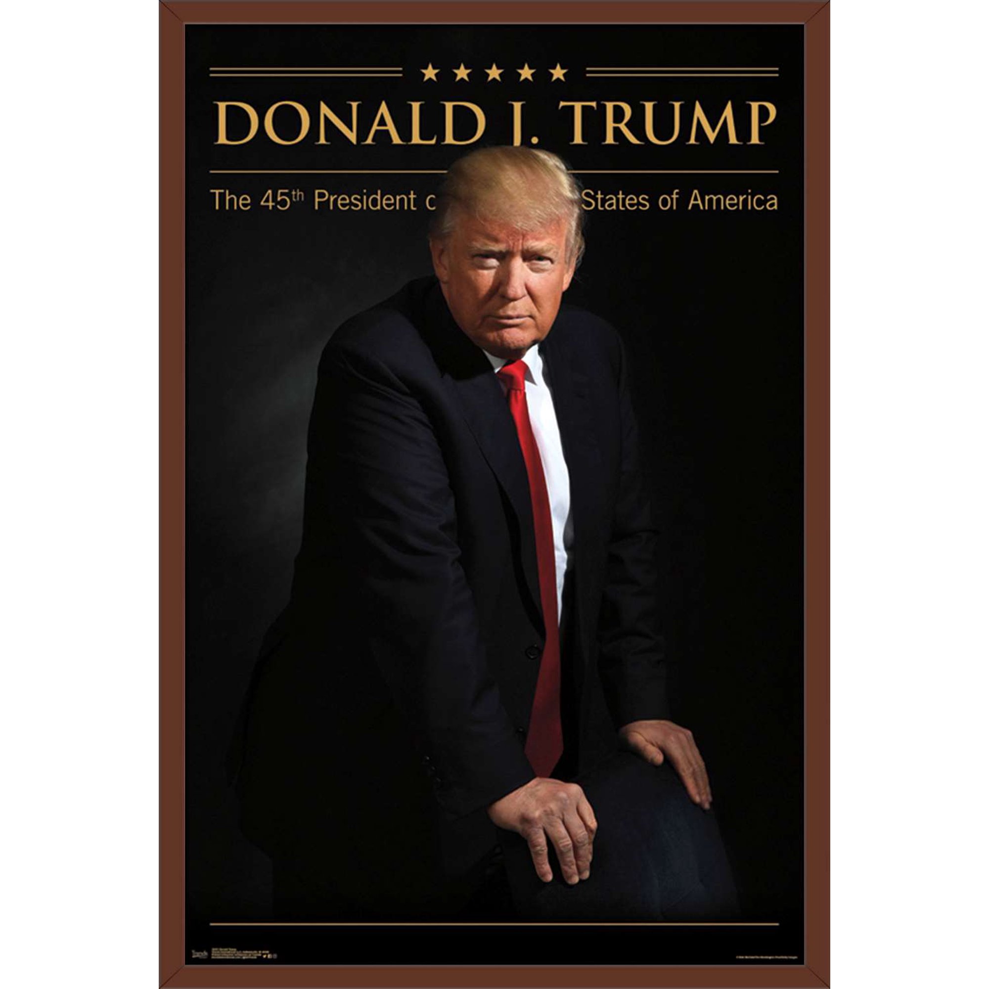 President Donald Trump Wall Poster, 22.375" x 34", Framed