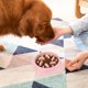 thumbnail image 1 of Alimentador de perros PP Anti-gulping Dog Slow Feeder Diseño duradero y saludable (rosa) Ehuebsd Para estrenar, 1 of 8