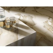 The Tile Project 30x30 Calacatta Gold Matte Porcelain Tile (1 Sample 6x6)