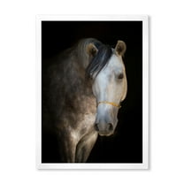 Designart 'Close Up Portrait Of A White Horse' Farmhouse Framed Art Print