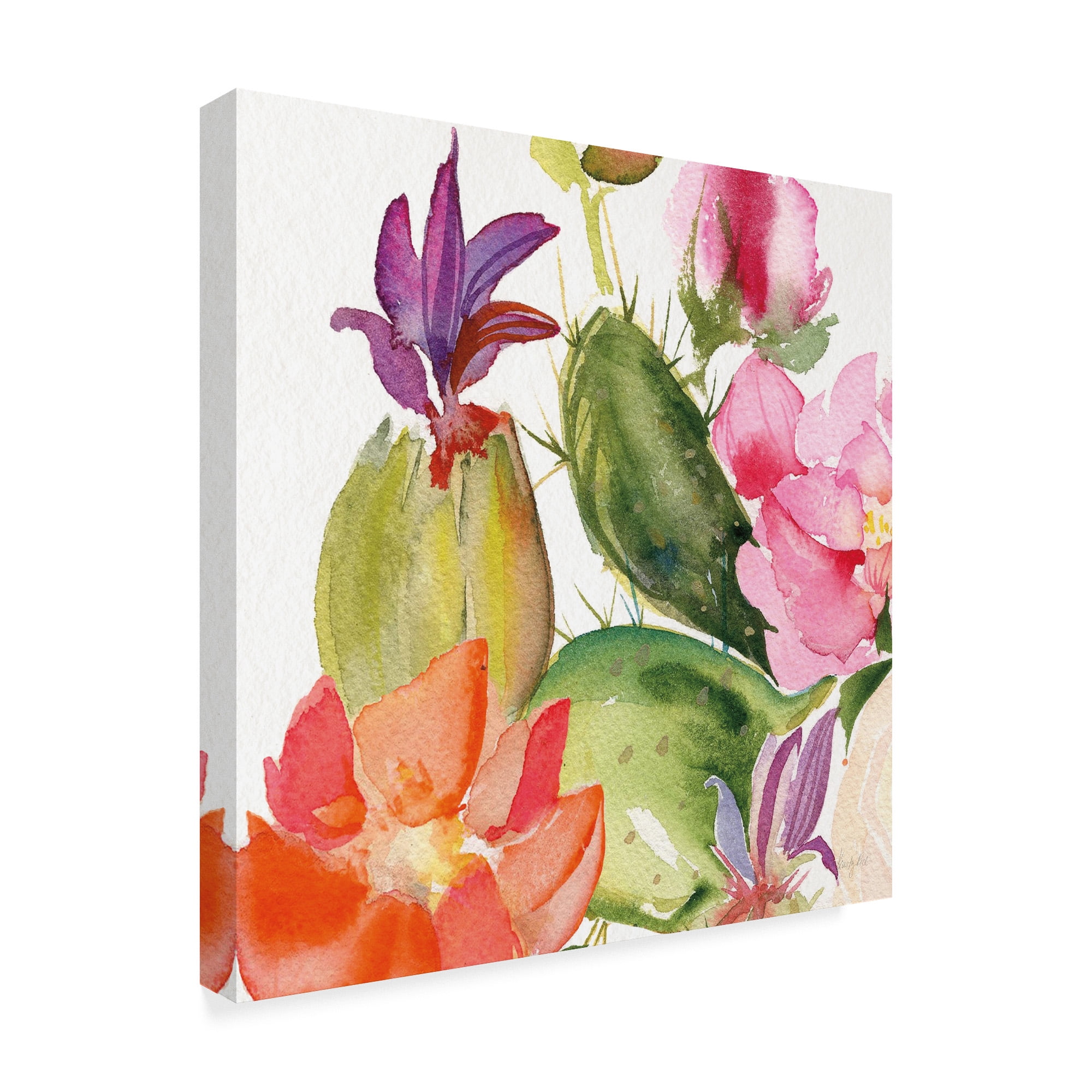 Trademark Fine Art 'Desert Rose II' Canvas Art by Kristy Rice