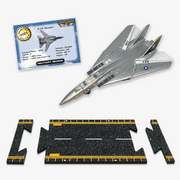 Hot Wings F-14 Tomcat (Jolly Rodgers Air Wing 8)