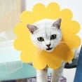 thumbnail image 3 of Pet Recovery Collar Sunflower Shape Pet Protective Collar Cat Collar for Kitten, 3 of 8
