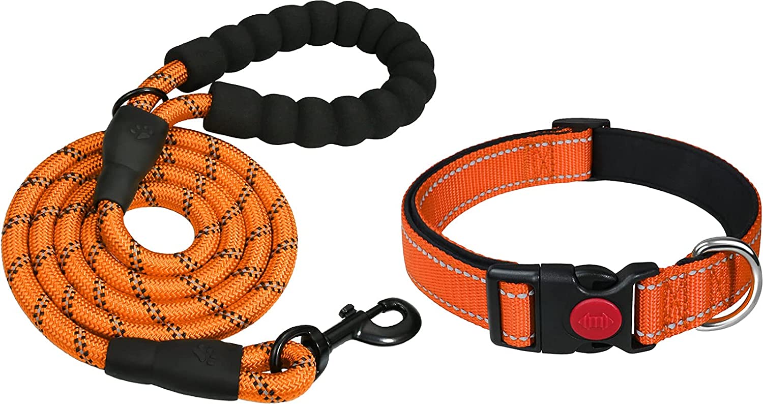 locking dog leash