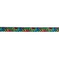 thumbnail image 3 of Country Brook Design® 3/4 inch Tie Dye Stripes Polyester Webbing, 5 Yards, 3 of 5