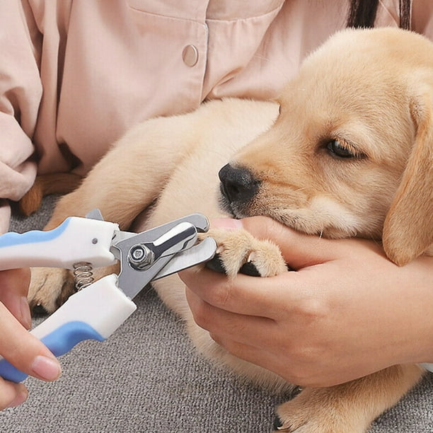Dog toenail cheap clippers walmart