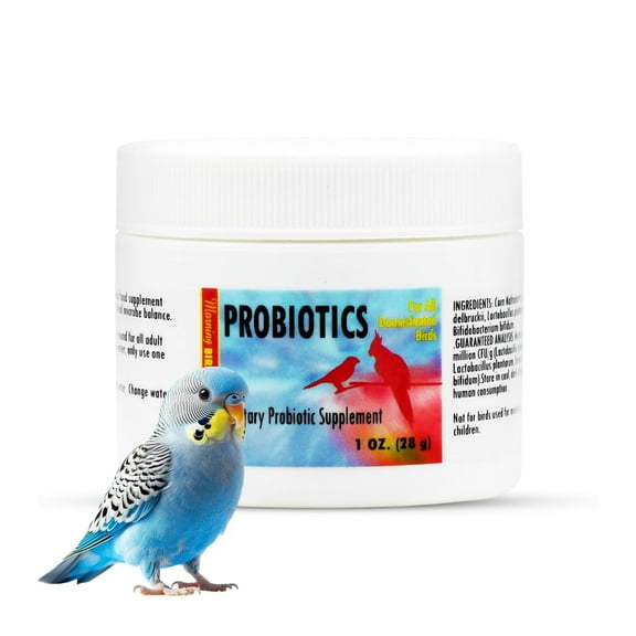 Morning Bird Probiotics for Birds 1 Oz – Digestive Health Supplement Supporting Gut Balance, Nutrient Absorption & Immune Support – Easy Mix Powder Supplement for All Bird Species
