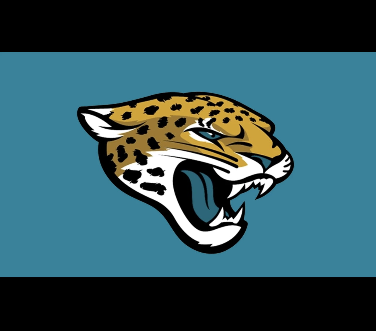 Jacksonville Pro Football Team Flag 3 x 5 Tailgate Flag Mancave