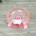 thumbnail image 3 of Neinkie Jouet d'Exercice pour Hamster Roue de Jogging Transparente Jouet d'Entraînement Sport Intérieur Rongeurs Cochon d'Inde Tamia Disque de Course Accessoires de Cage, 3 of 9