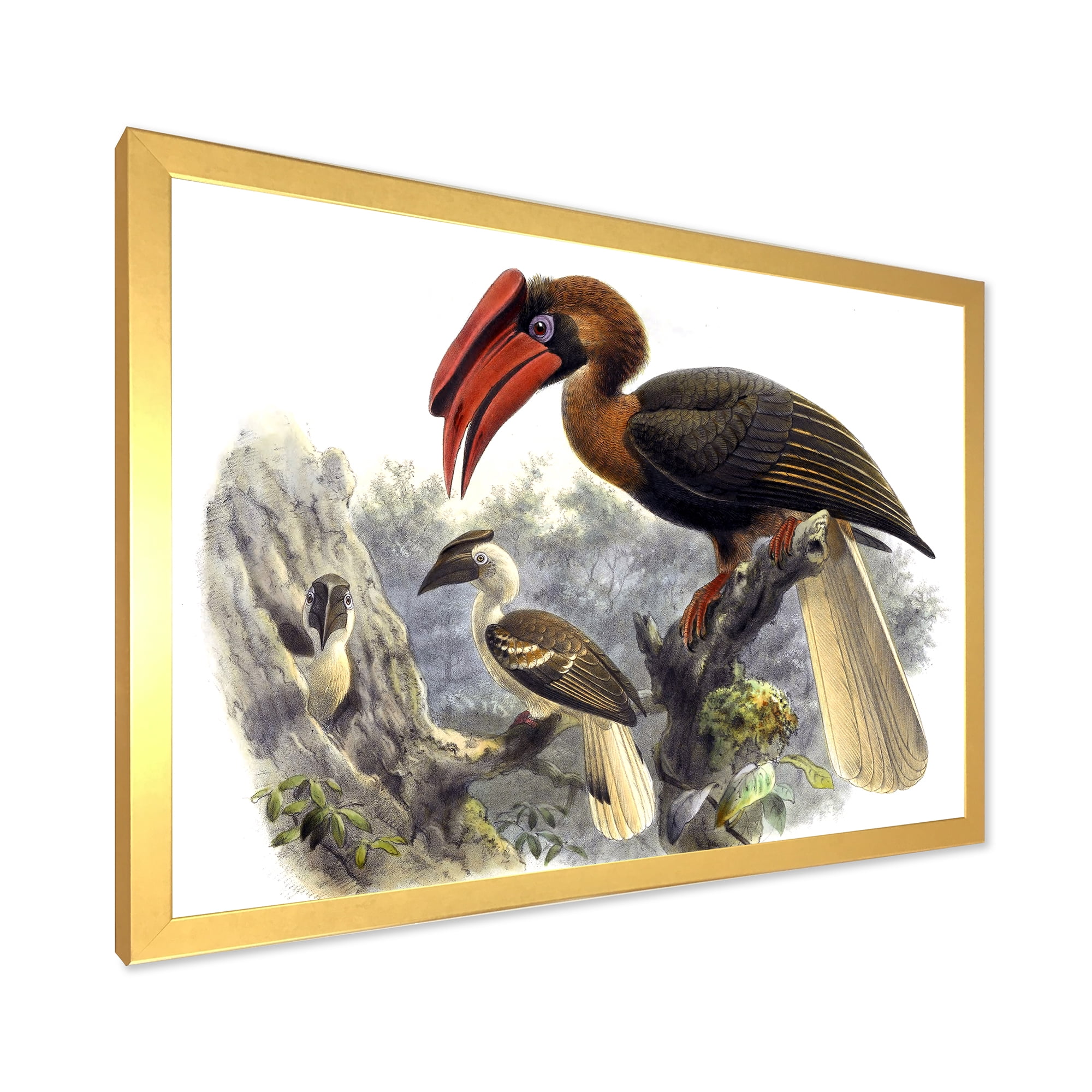 Designart 'Ancient Australian Birds XI' Traditional Framed Art Print