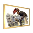thumbnail image 2 of Designart 'Ancient Australian Birds XI' Traditional Framed Art Print, 2 of 4