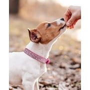 Rhinestone Dog Collar for Small Medium Large Dogs, Adjustable Leather Suede Bling Dog Collars,Diamond Bow Tie Puppy Collars for Boy and Girl.