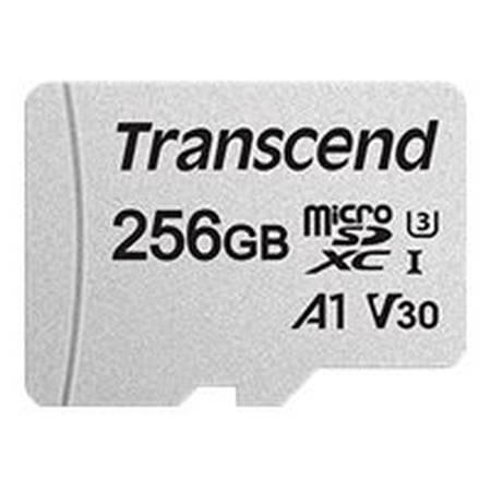 UPC 760557843047 product image for Transcend 300S - Flash memory card (adapter included) - 256 GB - A1 / Video Clas | upcitemdb.com