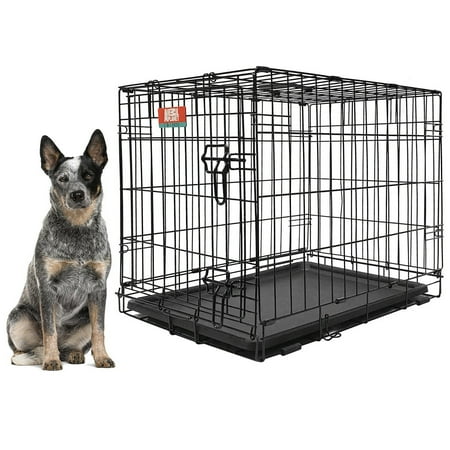Animal Planet Collapsible Metal Pet Crate with Removable Tray Large