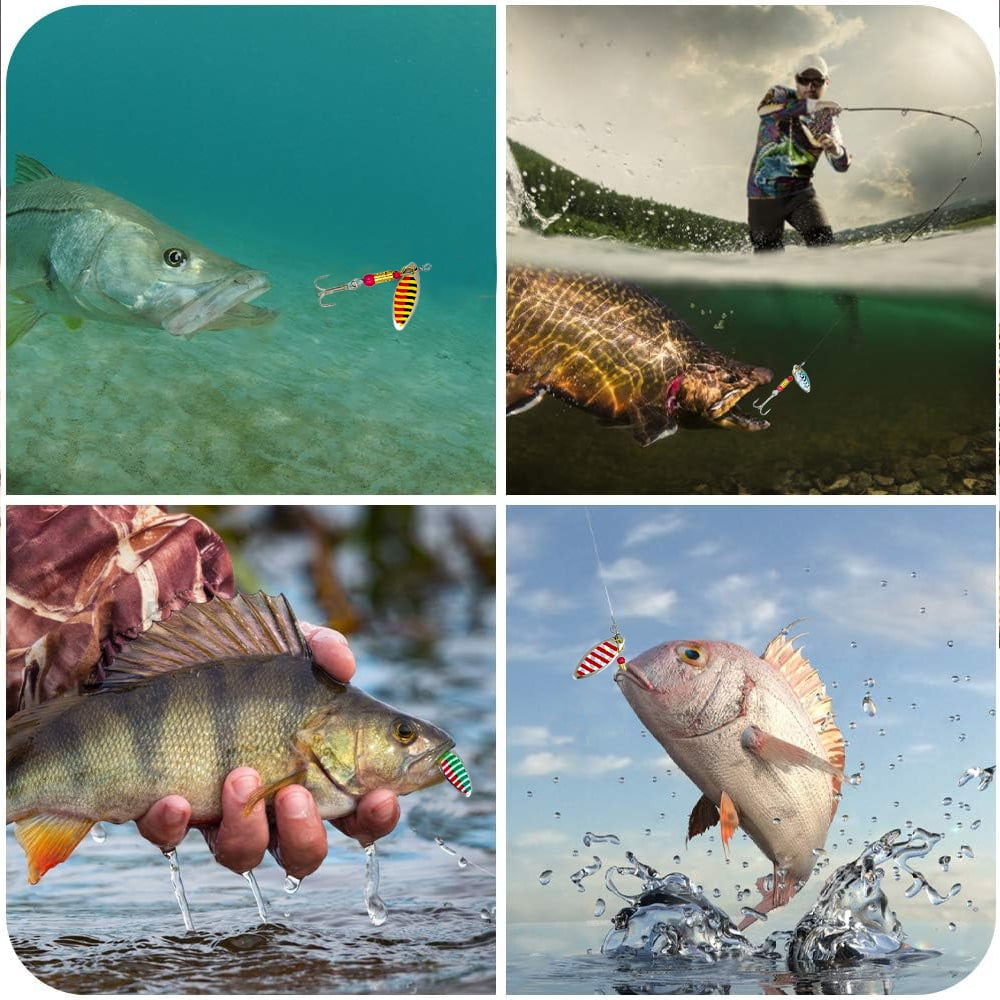 Jercoda 30pcs Fishing Lures Kit with Tackle Box, Jamaica | Ubuy Jercoda 30pcs Fishing Lures Kit with Tackle Box, Jamaica | Ubuy