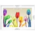 thumbnail image 5 of Art.com Floral Rainbow Splurge Photo by Albert Koetsier, White Frame Wall Art, 29" x 21", 5 of 5