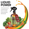 thumbnail image 2 of ⭐ LIQUID POWER Brussel Sprout Fertilizer Spray – Ready-to-Use Liquid Plant Food for Brussel Sprouts – Easy Application – Fast-Acting Formula for Growth, Roots & Yield – Indoor & Outdoor – 8 oz, 2 of 5