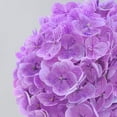 thumbnail image 3 of Hydrangea Artificial Flowers, Latex Real Touch Hydrangeas Lifelike Large Hydrangea Flowers for Home Decor Party Arrangements Wedding Bouquets Centerpieces (Light Purple), 3 of 5