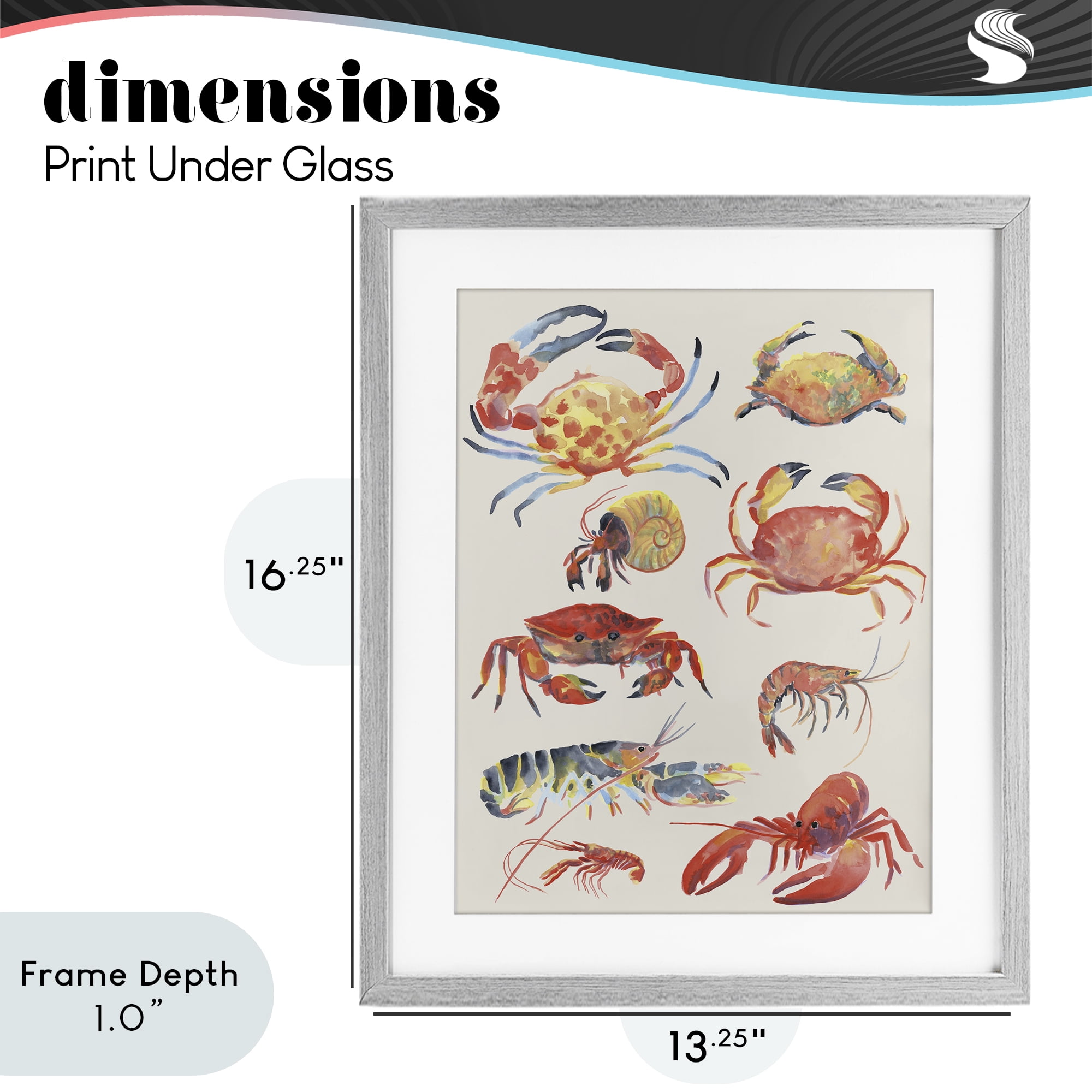 Stupell Industries Nautical Crustacean Collection Gray Framed Print Under Glass, design by June Erica Vess