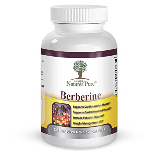 Premium Berberine HCl 500mg 120 capsules cardiovascular