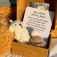 thumbnail image 3 of SharkTRUE Pocket Bear Mini Plush in Box Motivational Worry Bear Gift with Inspirational Card, Soft Plush Bear for Comfort and Encouragement, Perfect for Collection or Carrying, 3 of 8
