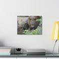 thumbnail image 3 of Funny Wombat Silly Wombat Scene Couple Wall Art Ready to Hang Unframed, 3 of 18