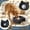 Black, variant on Pupa Paws Lick Roll Bowl, Slow Feeder Dog Bowls, Interactive Dog Lick Bowl with Rolling Ball for Wet Food & Treats, Anti Gulping Non Slip Dog Feeding Bowl, Dog Enrichment Lick Mat for Anxiety Relief