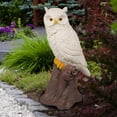 thumbnail image 6 of Alpine Corporation White Owl on Tree Trunk Statuary, 6 of 14