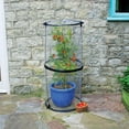 thumbnail image 3 of Twist-Up Tomato Cloche – 19″ Diameter x 43″ Height Pop-Up Plant Protector with Ground Pegs, 3 of 5