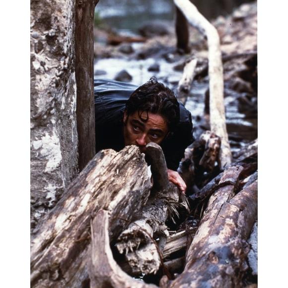 Benicio Del Toro Se Cachant dans les Bois Tirage Photo (24 x 30)