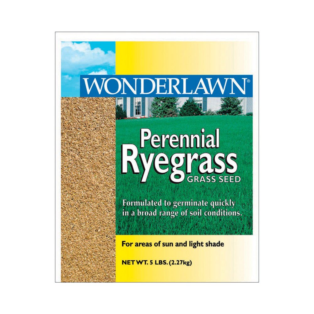 PERENNIAL RYEGRASS 5