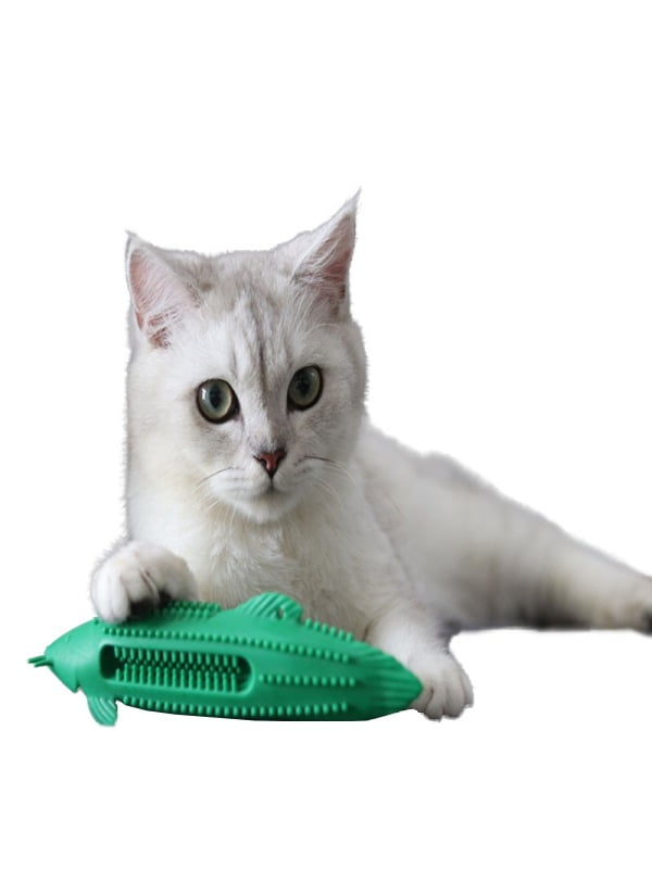 Cat Teeth Cleaning Toy Fish Shape Pet Mouth Chewing Tooth Clean Bone