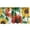 Scarlet Mustard and Green, variant on Flowers Window Valance, Sunflower and Gerbera Blossoms Vintage Nature Art Autumnal Vibes, Curtain Valance for Kitchen Bedroom with Rod Pocket, 54" X 18", Scarlet Mustard and Green, by Ambesonne