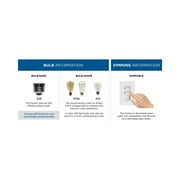 Penn Collection One-Light Natural Brass Clear Glass Farmhouse Pendant Light