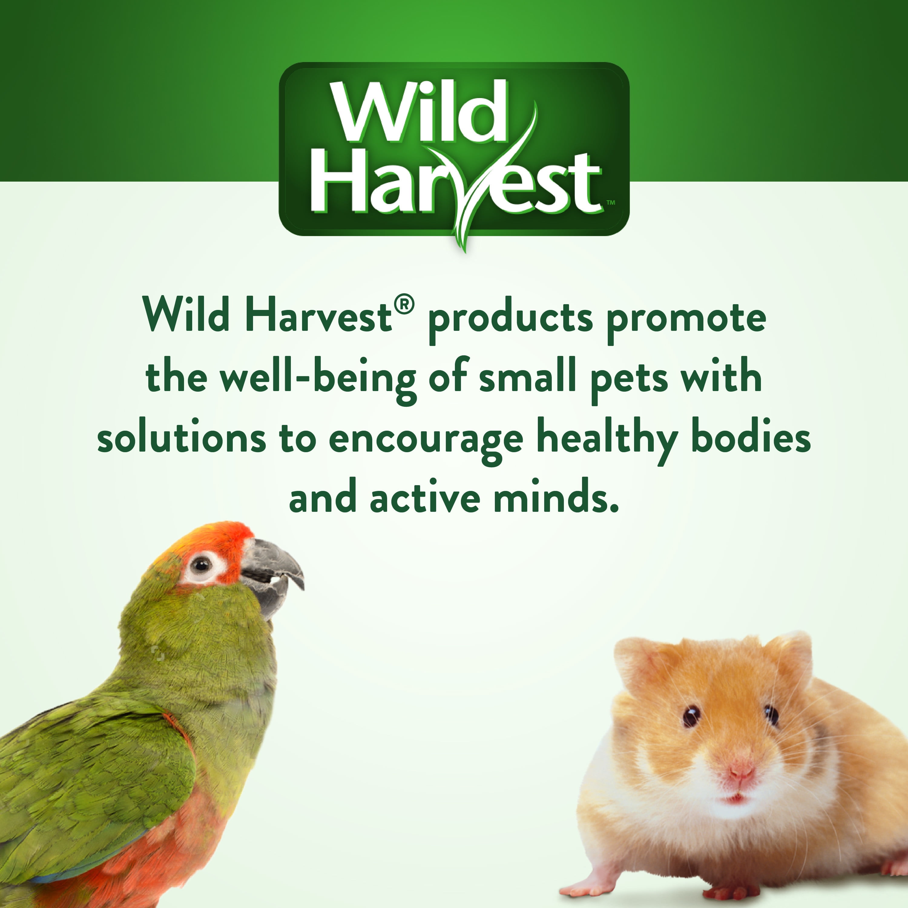 (4 pack) Wild Harvest Sanded Perch Covers for Parakeets, Canaries and Finches, 3/8” Dia. Perches, 4 Count