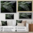 thumbnail image 4 of Designart "Winter'S Enchantment Of Ferns" Ferns Floater Framed Wall Decor, 4 of 5