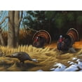 thumbnail image 2 of Stans, Leo 32x25 Black Ornate Wood Framed with Double Matting Museum Art Print Titled - Turkies, 2 of 4