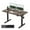 Black Walnut, variant on DESINO 48x24 inch Electric Standing Desk, Height Adjustable Sit Stand Desk with Memory Presets, Ergonomic Home Office Computer Desk with Anti-Collision, Maple